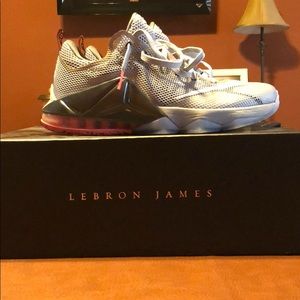 Nike Lebron Low 12’s